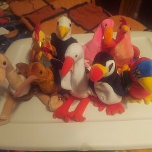 Lot Of 9 Beanie Baby Birds! NWT
